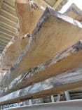 Treated Wild Pine Live Edge Slabs